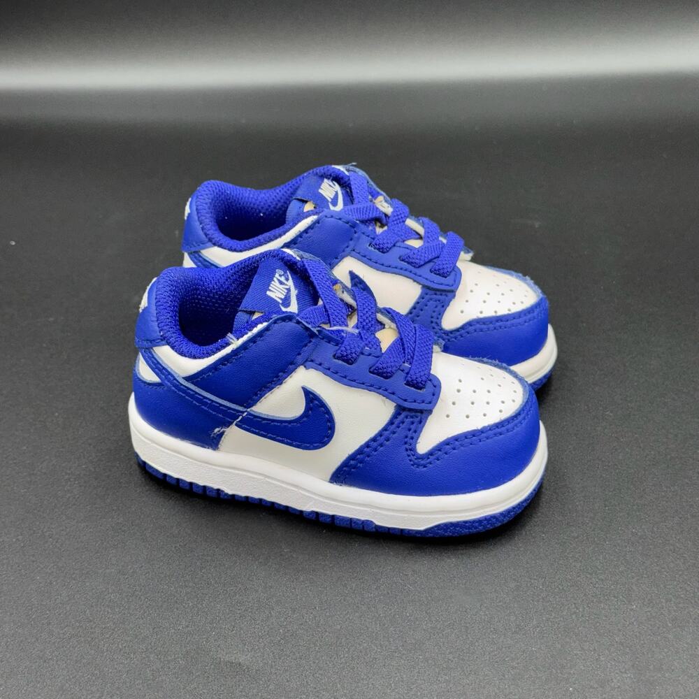 Nike Dunk Low Concord (TD)